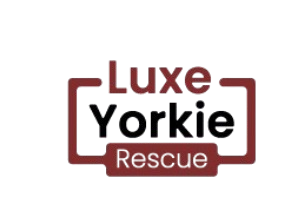 luxeyorkierescue